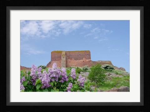 Framed Hammershus Castle Ruins Print
