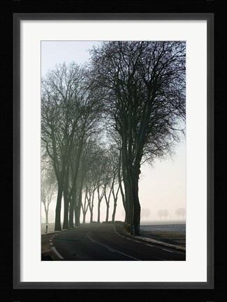 Framed Country Road in Morning Mist Print