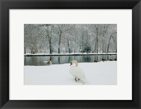 Framed Chateau de Vizille Park, Swan Lake Print