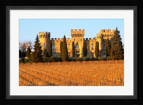 Framed Vineyard with Syrah Vines and Chateau des Fines Roches Print