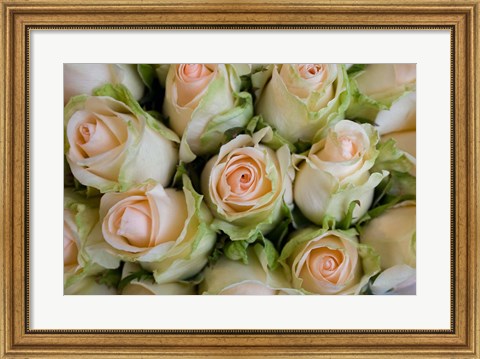 Framed Marche Aux Fleurs, Cours Saleya, French Riviera, France Print