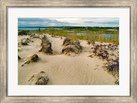 Framed Sandy Beach Print