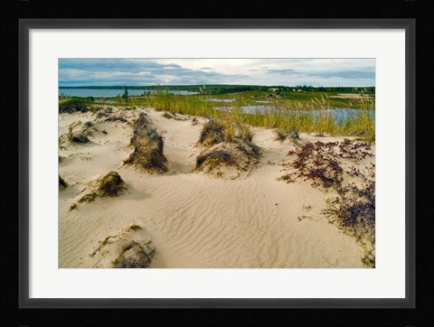 Framed Sandy Beach Print