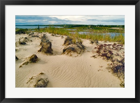 Framed Sandy Beach Print