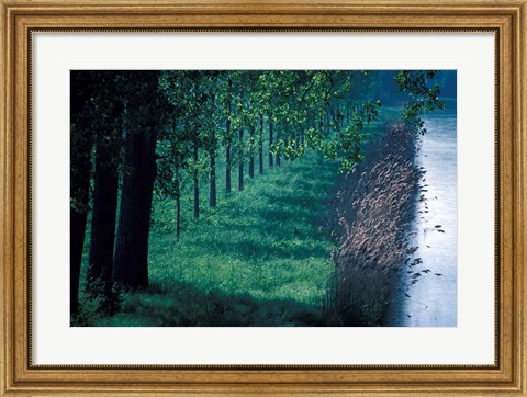Framed Burgundy Canal, Burgundy, France Print