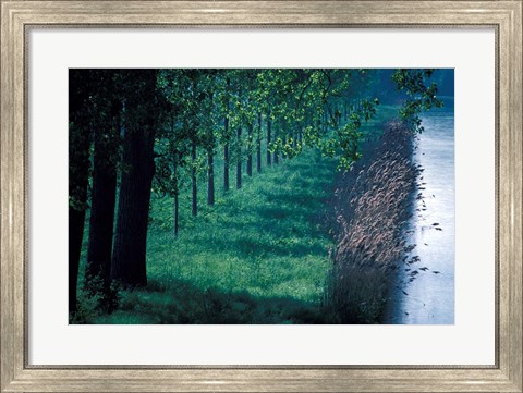 Framed Burgundy Canal, Burgundy, France Print