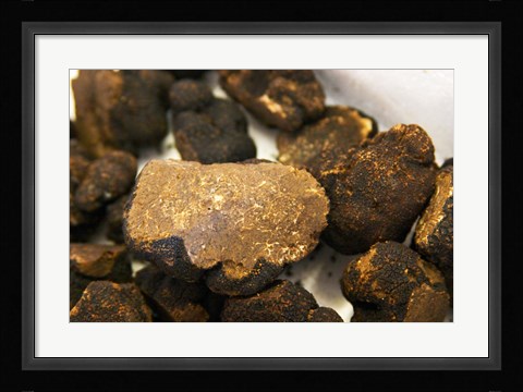 Framed Truffles at La Truffe de Ventoux Truffle Farm Print