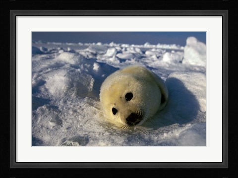 Framed Gulf of St Lawrence Print