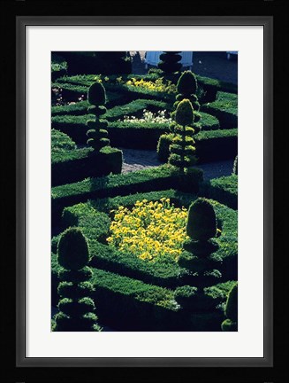 Framed Garden at Villandry Chateau in France Print