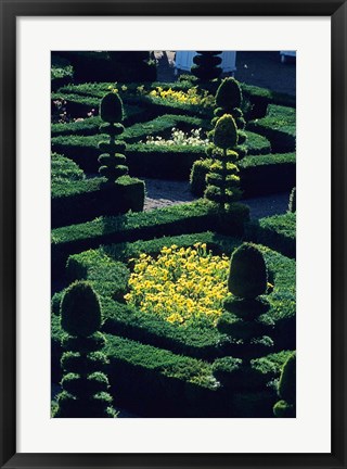 Framed Garden at Villandry Chateau in France Print