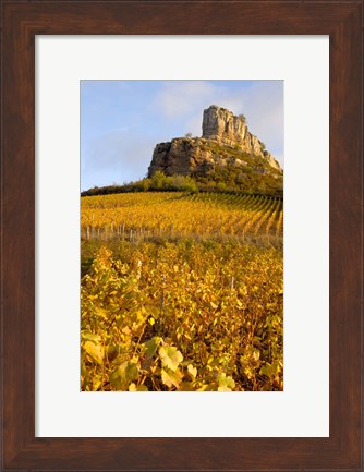 Framed Roche de Solutre above Vineyards, France Print