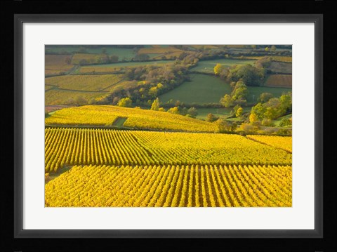 Framed Autumn Morning in Pouilly-Fuiss' Vineyards Print