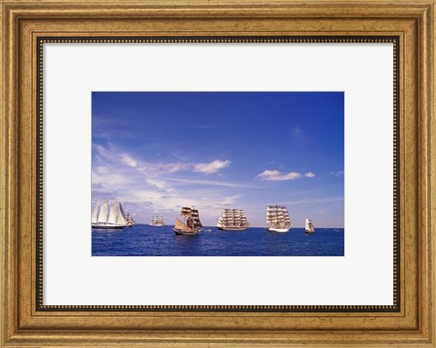 Framed Tall Ships Race in Nova Scotia Print
