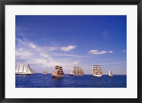 Framed Tall Ships Race in Nova Scotia Print