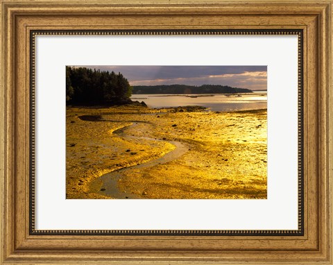 Framed Tide at Sunset on Campobello Island Print