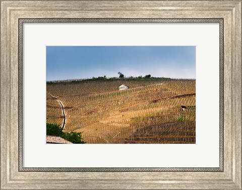 Framed Terraced Vineyards in the Cote Rotie District Print