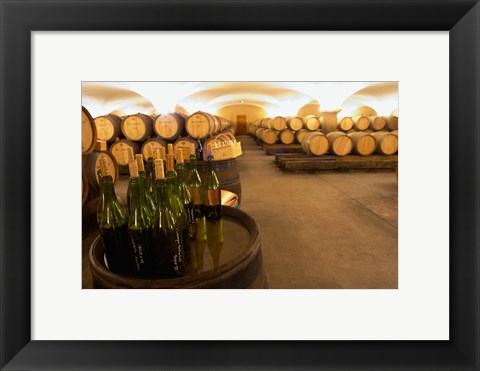 Framed Barrel cellar, Cote d Or, Burgundy, France Print