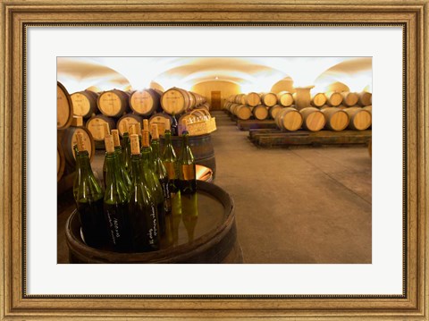 Framed Barrel cellar, Cote d Or, Burgundy, France Print