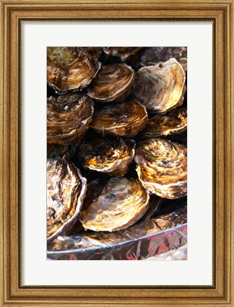 Framed Plate of Oysters, France Print