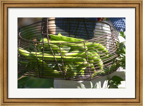 Framed Green Beans in Vegetable Garden Print