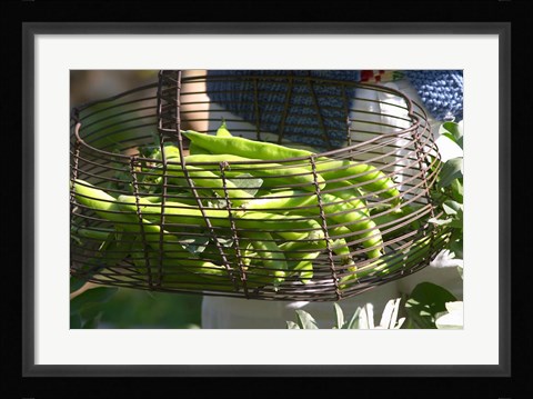 Framed Green Beans in Vegetable Garden Print