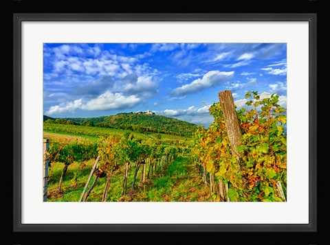 Framed Vienna vineyards, Austria Print