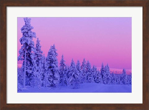 Framed Winter Sunset in Finland Print