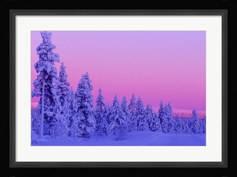 Framed Winter Sunset in Finland Print