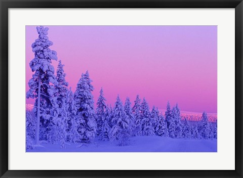 Framed Winter Sunset in Finland Print