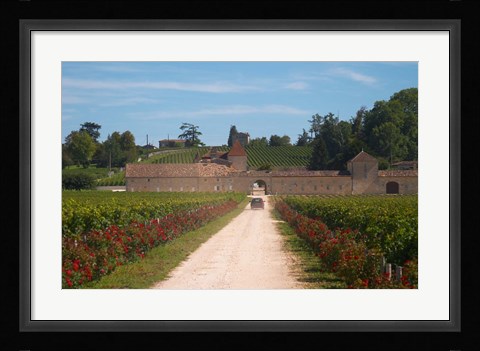 Framed Chateau Grand Mayne and Vineyard Print