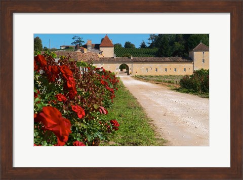 Framed Chateau Grand Mayne Vineyard and Roses Print
