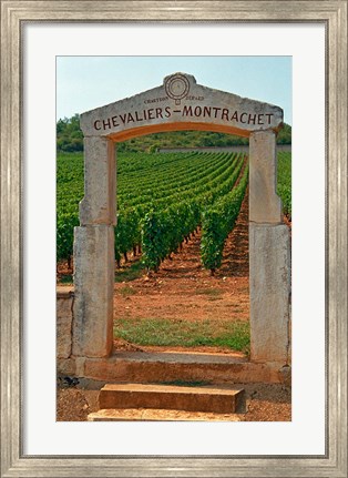 Framed Stone Portico to the Vineyard Chevalier-Montrachet Print