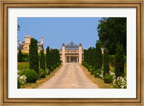Framed Chateau Haut Sarpe, Saint Emilion, Bordeaux, France Print
