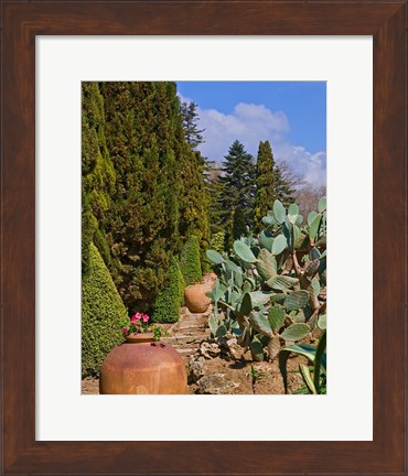 Framed Botanical Garden in Balchik Print