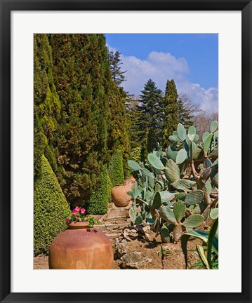 Framed Botanical Garden in Balchik Print