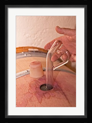 Framed Wine Pipette, Chateau La Grave Figeac, France Print