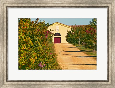 Framed Petit Verdot Vines and Winery Print