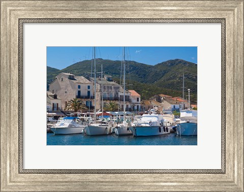Framed Macinaggio Harbor Print