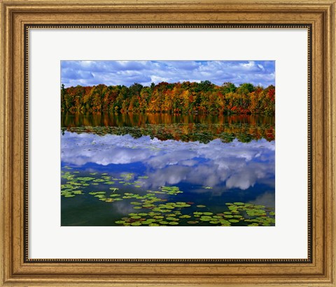 Framed Park Haven Lake in Autumn Print
