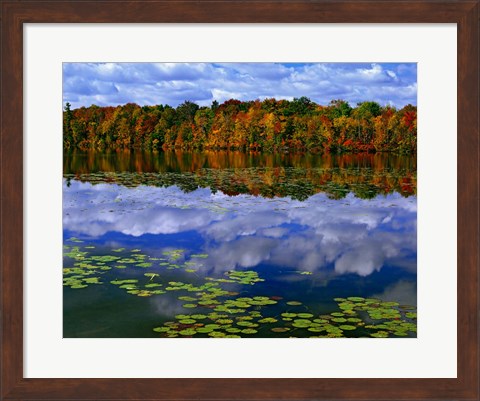 Framed Park Haven Lake in Autumn Print