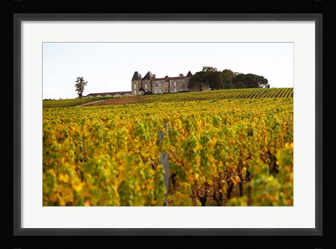 Framed Vineyard and Medieval Chateau Print