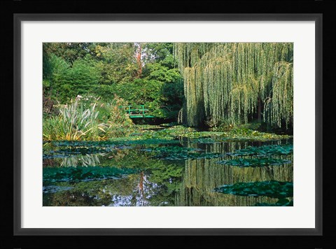Framed Claude Monet's Garden Pond in Giverny, France Print