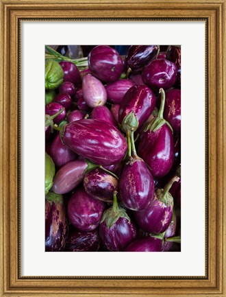 Framed Purple Eggplant, Seafront Market Print