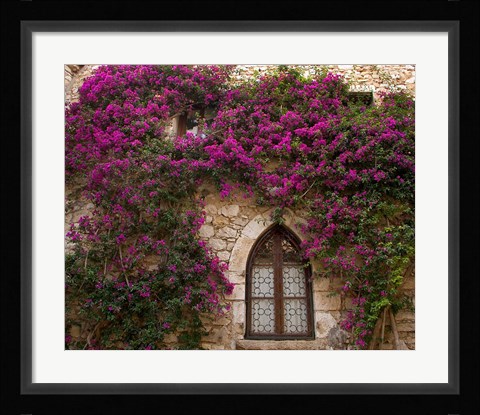 Framed Bright Pink Bougainvillea, Eze, France Print