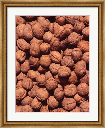 Framed Walnuts, Normandy, France Print