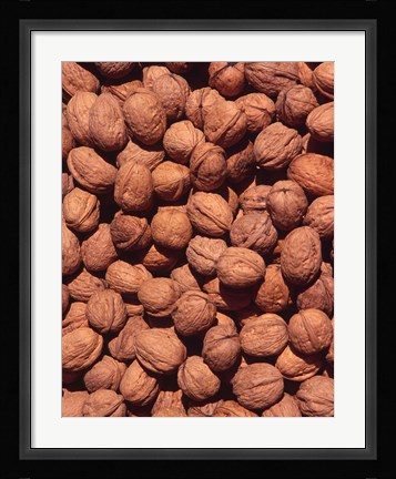 Framed Walnuts, Normandy, France Print