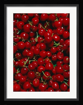 Framed Cherries, Normandy, France Print