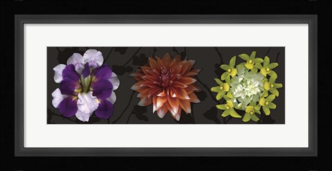 Framed Floral Burst IV Print