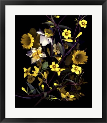Framed Yellow Print