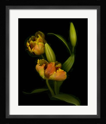 Framed Tulips Print